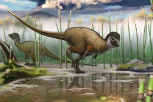 godefroit1hr_jpg_size_xxlarge_promo