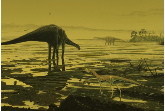 sauropods.jpg.size.xxlarge.letterbox